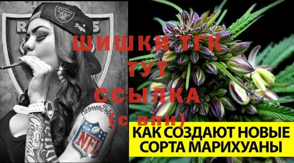 ALPHA-PVP Белокуриха