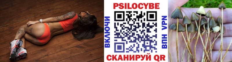 наркошоп  Чишмы  Псилоцибиновые грибы GOLDEN TEACHER 